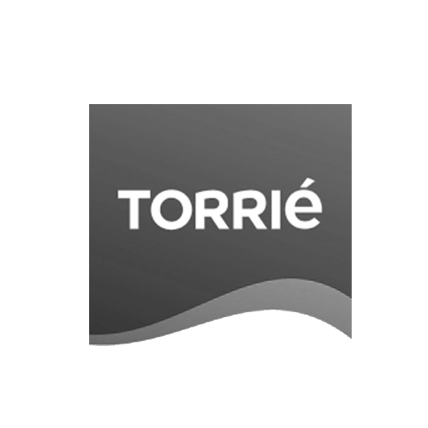 Torrie - Wave Solutions